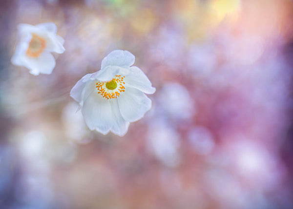 Instructor Artwork 2