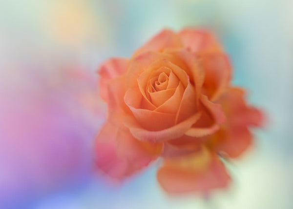 Instructor Artwork 4