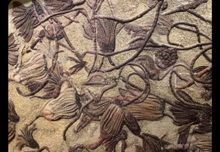 Instructor Artwork 1