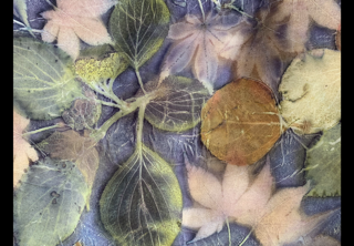 Instructor Artwork 4