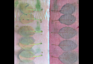 Instructor Artwork 3