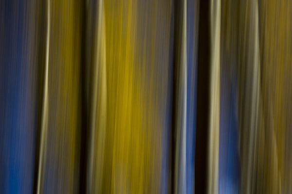 Instructor Artwork 4