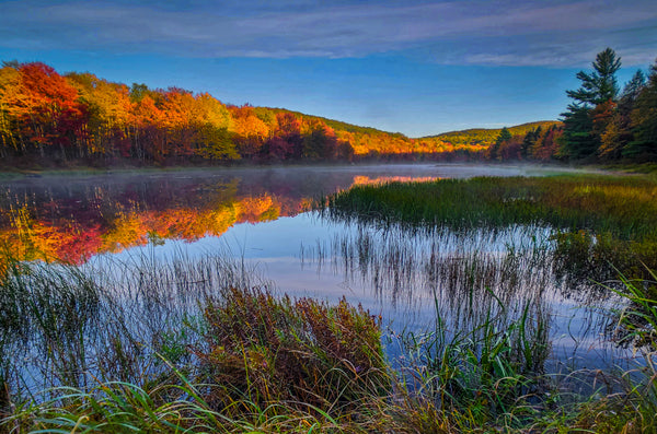 Instructor Artwork 3