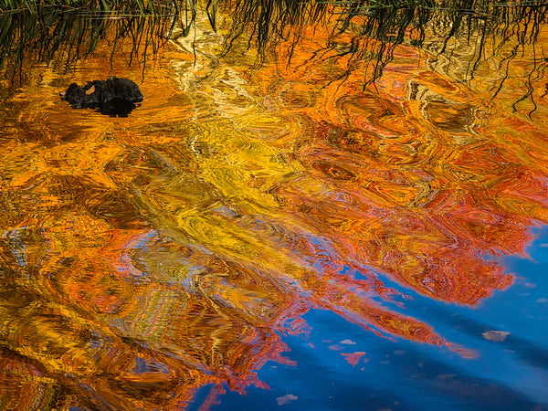 Instructor Artwork 2