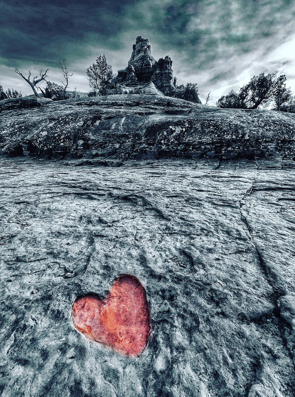 Instructor Artwork 4