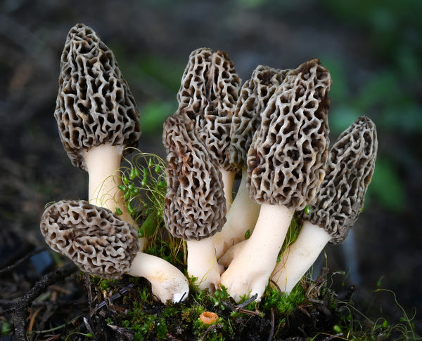 Instructor Artwork 2