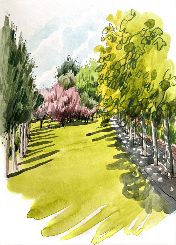 Instructor Artwork 3