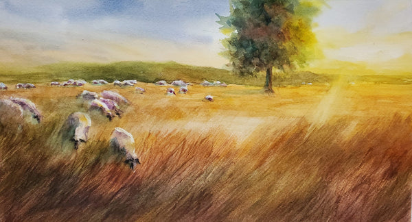 Instructor Artwork 2