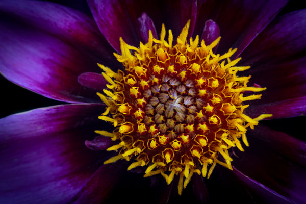 Instructor Artwork 2