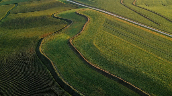 Instructor Artwork 3