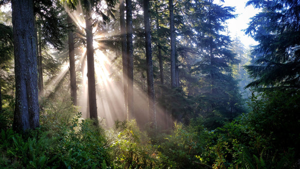 Instructor Artwork 1