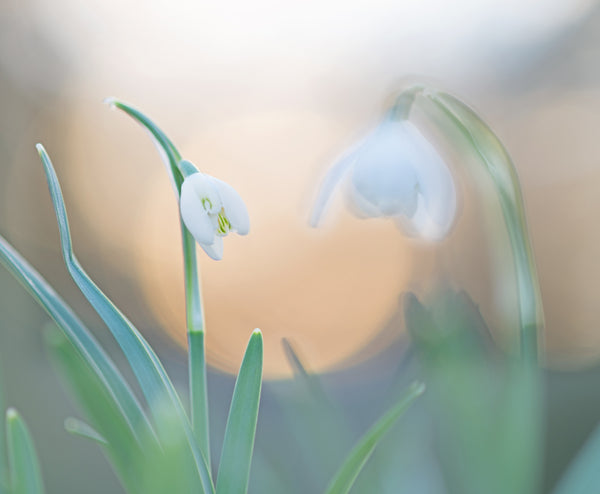 Instructor Artwork 2