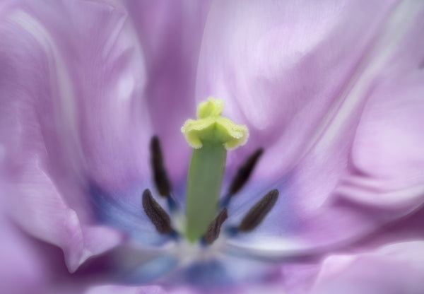 Instructor Artwork 3