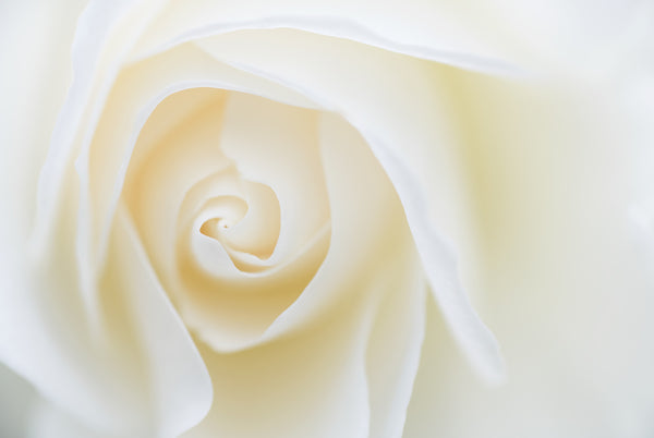 Instructor Artwork 4