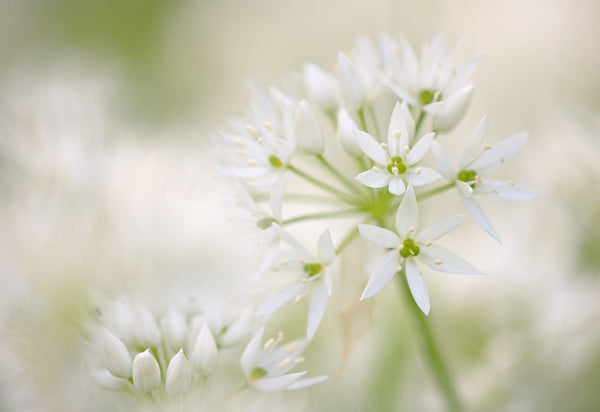 Instructor Artwork 1