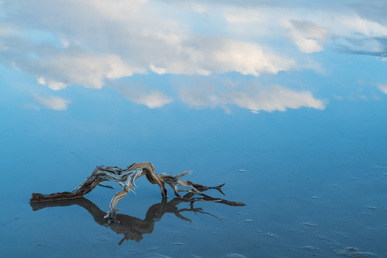 Driftwood on Salt Flat, Death Valley