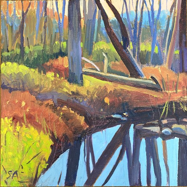 Light and Color in Autumn Maine - Image 8