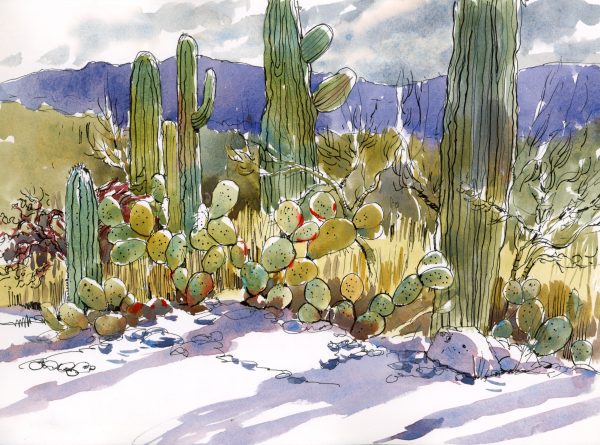 Vibrant Watercolors: Sketching Desert Hues II - Image 12
