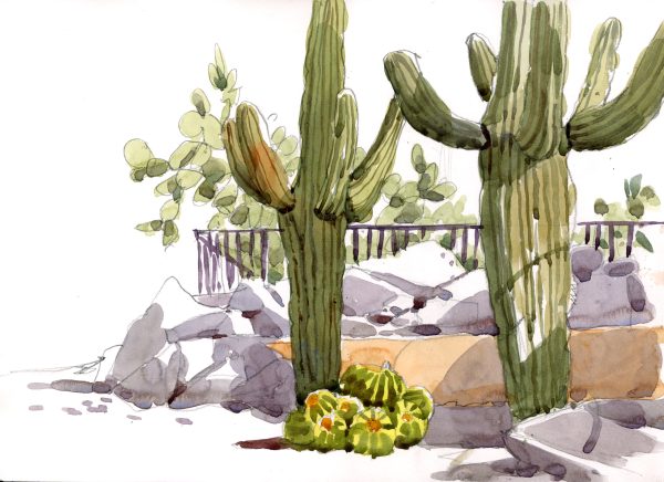 Vibrant Watercolors: Sketching Desert Hues II - Image 13