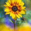Creative Flower Photography on Madeline Island - Image 28