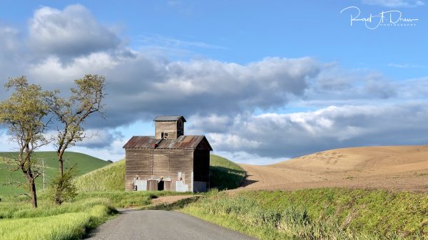 From Snap to WOW! The Ultimate iPhone Photography Workshop! - Image 28