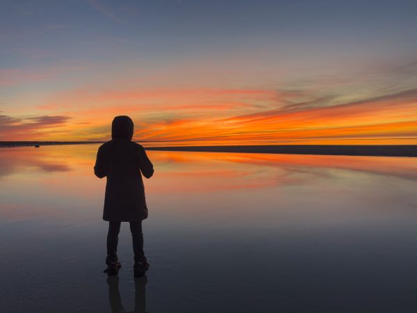 From Snap to WOW! The Ultimate iPhone Photography Workshop! - Image 37