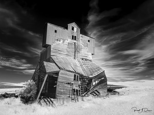 From Snap to WOW! The Ultimate iPhone Photography Workshop! - Image 40