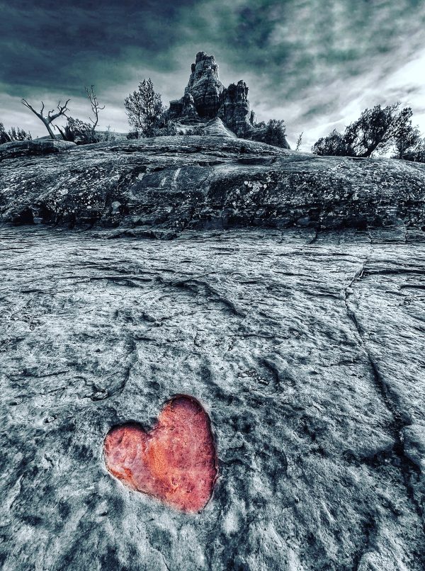 From Snap to WOW! The Ultimate iPhone Photography Workshop! - Image 15