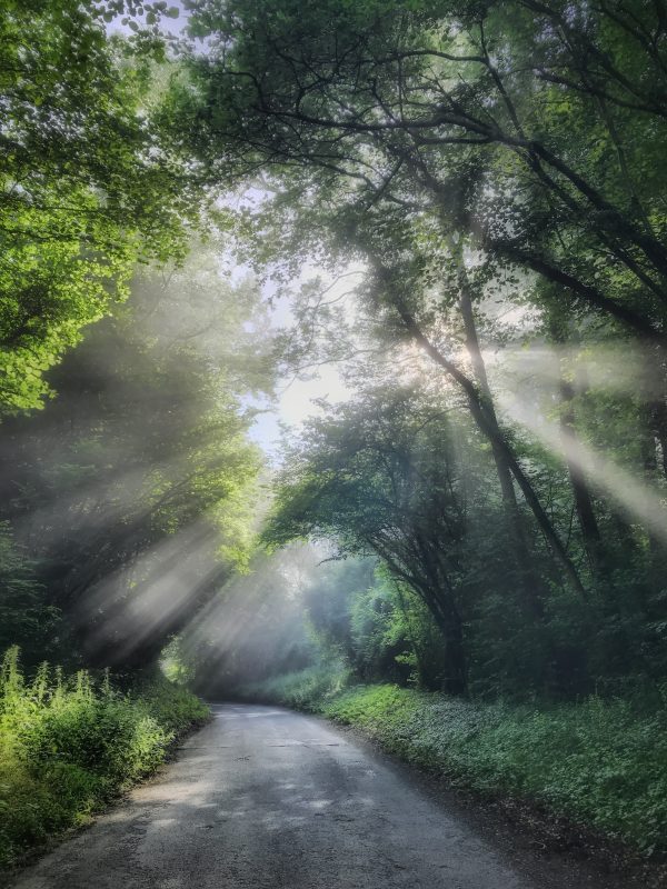 From Snap to WOW! The Ultimate iPhone Photography Workshop! - Image 16