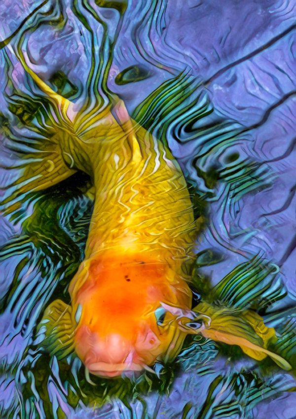 From Snap to WOW! The Ultimate iPhone Photography Workshop! - Image 17