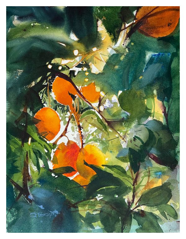 Finding Light: A Pacific Coast Watercolor Retreat for the Creative Spirit with Steve Puttrich and Angela Fehr - Image 13