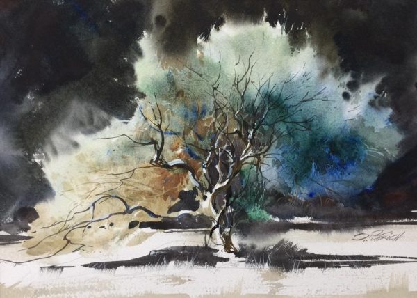 Finding Light: A Pacific Coast Watercolor Retreat for the Creative Spirit with Steve Puttrich and Angela Fehr - Image 18