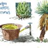 Vibrant Watercolors: Sketching Desert Hues II - Image 5