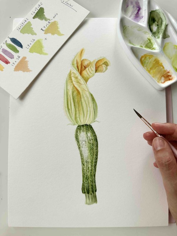 Where Watercolor Meets Nature: A Botanical Art Experience