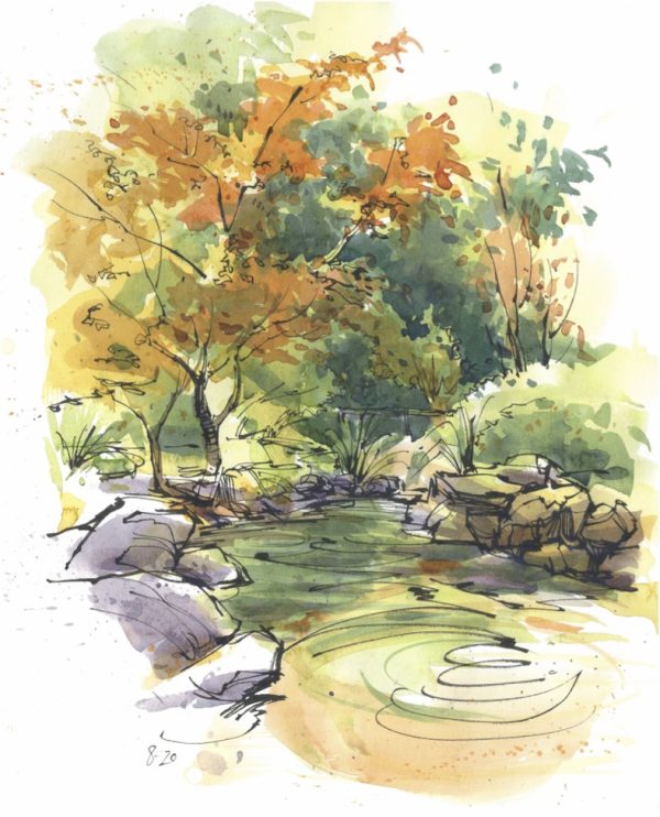 The Dance of Line and Color - Image 6