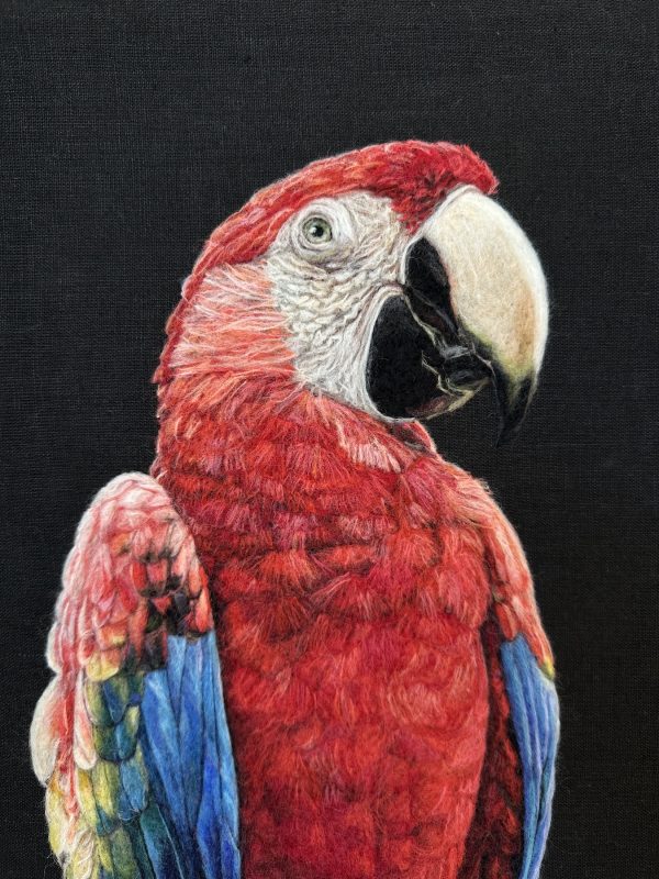 Painting with Wool: Exploring Color, Texture & Expression through Needle Felting - Image 7