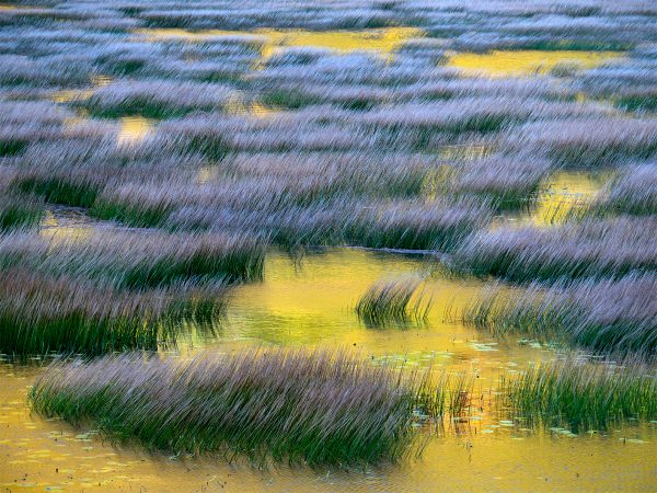 Reflections Within: Exploring Your Story through Creative Landscape Photography - Image 4