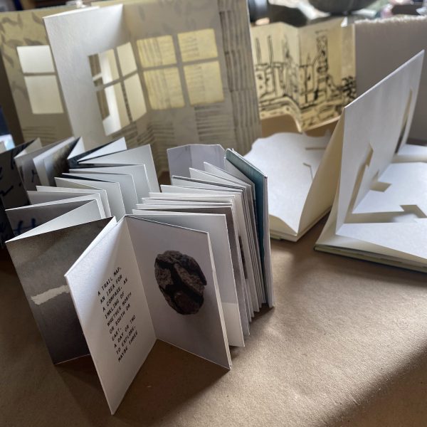Artists’ Books Using the Accordion & Beyond - Image 2