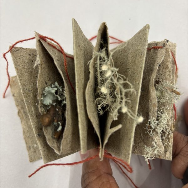 Artists’ Books Using the Accordion & Beyond