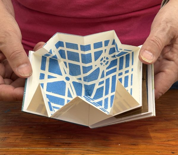 Artists’ Books Using the Accordion & Beyond - Image 9