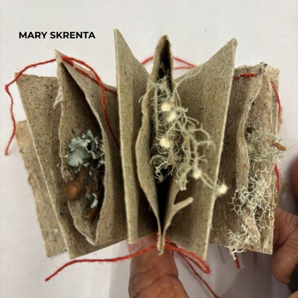 Artists’ Books Using the Accordion & Beyond - Image 2